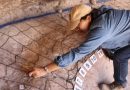 MÉXICO INICIA LA RESTAURACIÓN DE PINTURAS RUPESTRES EN EL ESTADO DE COAHUILA