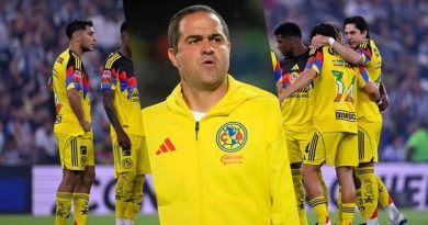 PROBLEMAS EN EL NIDO