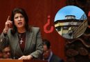 ¿CUÁNTOS AÑOS PODRÍA IR A LA CÁRCEL LA SENADORA QUE ADMITIÓ EL SACRIFICIO DE 10 MIL PERROS EN TECÁMAC?