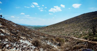 🔥🌲 INCENDIO FORESTAL BAJO CONTROL EN MATEHUALA; CONTINÚAN LABORES DE VIGILANCIA