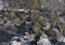 GOBIERNO ESTATAL LIQUIDA INCENDIO FORESTAL EN MATEHUALA