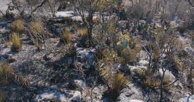 GOBIERNO ESTATAL LIQUIDA INCENDIO FORESTAL EN MATEHUALA