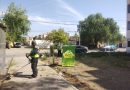 ESTADO RECUPERA COLONIAS Y FORTALECE BIENESTAR SOCIAL EN LA CAPITAL