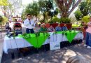ESTADO FORTALECE SU ENTORNO CON REFORESTACIÓN PRODUCTIVA