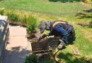 Gobierno de la Capital fortalece mantenimiento del Centro Histórico con rehabilitación en Plaza de Armas Obras Públicas realizó colocación de rejilla en registro del Jardín de Plaza de Armas para mejorar seguridad y funcionalidad en la zona centro La colocación de una nueva rejilla en registro del Jardín de Plaza de Armas forma parte de las acciones permanentes de rehabilitación del Centro HistóricoComo parte de las acciones permanentes de conservación y rehabilitación del Centro Histórico de San Luis Potosí, el Gobierno de la Capital, encabezado por el alcalde Enrique Galindo Ceballos, realizó trabajos de colocación de rejilla en un registro ubicado en el Jardín de Plaza de Armas, en la zona centro de la ciudad.Estas labores fueron ejecutadas por personal de la Dirección de Obras Públicas con el objetivo de reforzar la seguridad peatonal, mejorar la funcionalidad de la infraestructura urbana y conservar en mejores condiciones uno de los espacios más emblemáticos y visitados de la capital potosina.Este tipo de intervenciones forman parte del mantenimiento preventivo y correctivo que se realiza de manera constante en el primer cuadro de la ciudad, atendiendo reportes y supervisiones técnicas para reducir riesgos y brindar espacios más seguros y ordenados para la ciudadanía y visitantes.Asimismo, señaló que las acciones en el Centro Histórico se llevan a cabo de manera coordinada con distintas áreas municipales para preservar la imagen urbana y fortalecer la infraestructura pública en zonas de alta afluencia peatonal.El Gobierno Municipal reiteró su compromiso de continuar trabajando en la rehabilitación y mantenimiento de espacios públicos, priorizando la seguridad, movilidad y conservación del patrimonio urbano de San Luis Capital.