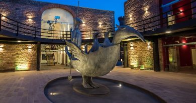 SAN LUIS IMPULSA EXPERIENCIAS INCLUSIVAS EN EL CENTRO DE LAS ARTES