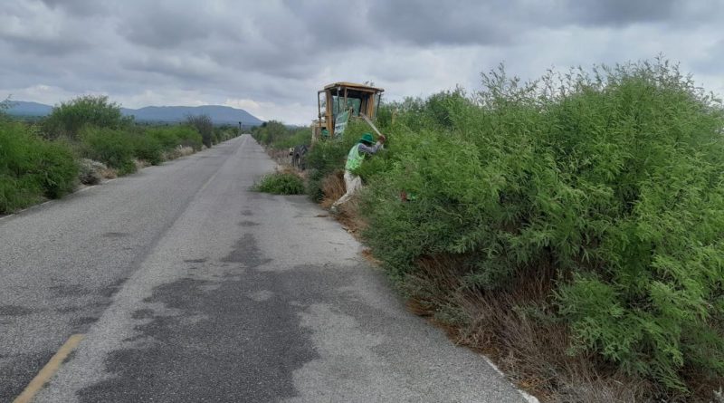 GOBIERNO ESTATAL FORTALECE CONECTIVIDAD EN CAMINOS DE CEDRAL