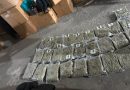 AUTORIDADES FEDERALES DETIENEN A UNA PERSONA Y ASEGURAN 700 KG DE MARIHUANA EN COAHUILA