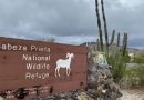 DESTRUYEN SITIO ARQUEOLÓGICO DE ARIZONA POR EL MURO FRONTERIZO DE TRUMP