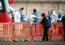 EUROPA ACTIVA CUARENTENAS TRAS BROTE DE HANTAVIRUS EN CRUCERO