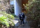 FGR GANA RESIDENCIA DE EMILIO LOZOYA VALUADA EN MÁS DE 51 MILLONES