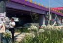 FAMILIAS BUSCADORAS PEGAN FICHAS DE DESAPARECIDOS EN ESTADIO BANORTE