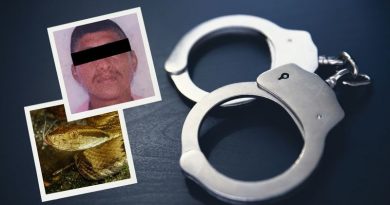 HOMBRE PIDE AYUDA TRAS ATAQUE DE SERPIENTE EN VERACRUZ Y LO DETIENEN POR CASO DE MULTIHOMICIDIO