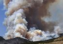 INCENDIOS FORESTALES EN CALIFORNIA: EVACUACIONES MASIVAS EN EL SUR