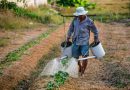 REVIVEN AMENAZA DE QUITAR AGUA AL AGRO