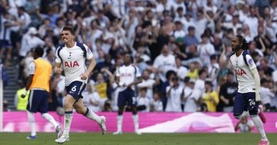 TOTTENHAM SE SALVA DEL DESCENSO; WEST HAM PIERDE LA CATEGORÍA