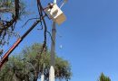 Firme el mejoramiento y modernización de alumbrado público en la Delegación Bocas