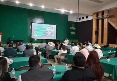 GOBIERNO ESTATAL IMPULSA MÁS SALAS DE LACTANCIA EN LOS MUNICIPIOS