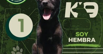 GOBIERNO ESTATAL INVITA A ELEGIR LOS NOMBRES DE LOS NUEVOS INTEGRANTES DEL AGRUPAMIENTO K9
