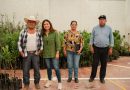 🌳🍎 Ayer, a través de nuestra Dirección de Desarrollo Rural, realizamos la entrega del programa de árboles frutales, una iniciativa impulsada en coordinación con SEDARH para fortalecer la producción en nuestras comunidades y fomentar el cuidado del medio ambiente.