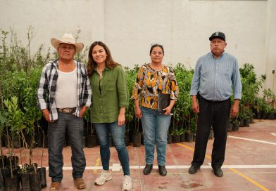 🌳🍎 Ayer, a través de nuestra Dirección de Desarrollo Rural, realizamos la entrega del programa de árboles frutales, una iniciativa impulsada en coordinación con SEDARH para fortalecer la producción en nuestras comunidades y fomentar el cuidado del medio ambiente.