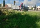Gobierno de la Capital intensifica mantenimiento de vialidades y áreas verdes