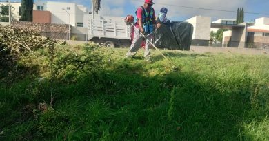 Gobierno de la Capital intensifica mantenimiento de vialidades y áreas verdes
