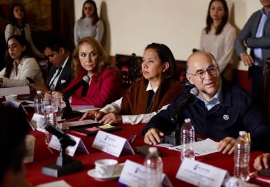 Cabildo de San Luis Capital aprueba estímulos a favor de jóvenes emprendedores y madres solteras