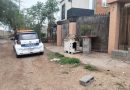 Bienestar Animal Municipal interpuso denuncia ante Fiscalía por presunto maltrato animal en Fracción Milpillas