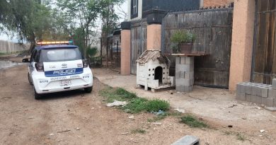 Bienestar Animal Municipal interpuso denuncia ante Fiscalía por presunto maltrato animal en Fracción Milpillas