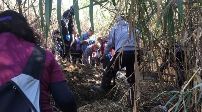 ASESINAN A ACTIVISTA BUSCADORA EN PÉNJAMO, GUANAJUATO Y AMNISTÍA INTERNACIONAL PIDE PROTEGER A COLECTIVOS