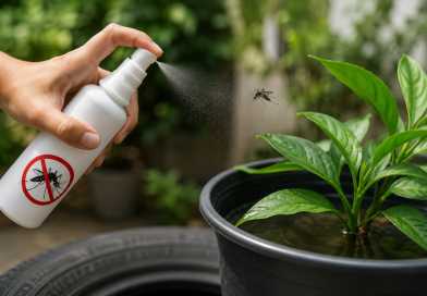 Ante lluvias, llama IMSS SLP a eliminar criaderos de mosquito transmisor de dengue