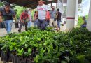 MÁS APOYO ESTATAL A CAFETALEROS EN LA HUASTECA