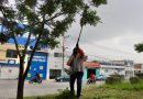 Gobierno de la Capital mantiene en óptimas condiciones la Avenida Salvador Nava