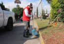 Gobierno de la Capital realiza mantenimiento en camellones de la avenida Río Papaloapan