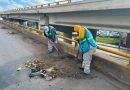Ayuntamiento de SLP realiza mantenimiento y destape de drenajes pluviales en el Distribuidor Juárez