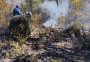 SAN LUIS POTOSÍ DESTACA POR LA REDUCCIÓN DE INCENDIOS FORESTALES