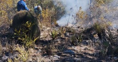 SAN LUIS POTOSÍ DESTACA POR LA REDUCCIÓN DE INCENDIOS FORESTALES