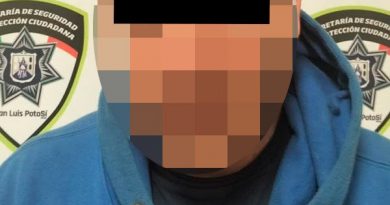 SECRETARÍA DE SEGURIDAD Y PROTECCIÓN CIUDADANA