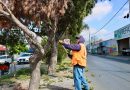 GOBIERNO DEL ESTADO GENERA ENTORNOS MÁS SEGUROS PARA LA INVERSIÓN