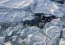 ADIÓS ‘PAUSA’: EL HIELO INVERNAL DEL ÁRTICO VUELVE A DISMINUIR DRÁSTICAMENTE