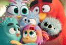 ANGRY BIRDS 3: PRIMER TRÁILER REVELA A «RED» LIDIANDO UNA NUEVA BATALLA COMO PAPÁ