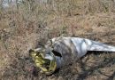 AVIONETA SE ESTRELLA EN BAHAMAS; MUEREN 10 PERSONAS Y VUELOS SON SUSPENDIDOS