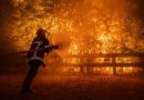 INCENDIOS FORESTALES EN GIRONDA, FRANCIA, DEJAN 240 CASAS DESTRUIDAS Y 75 BOMBEROS HERIDOS