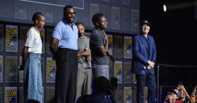 TERMINA EL MISTERIO PARA LOS FANS: MARVEL STUDIOS REVELA AL NUEVO BLACK PANTHER