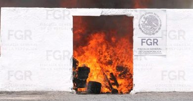 🔥 FGR destruye más de 3.4 toneladas de droga asegurada en la zona noreste del país