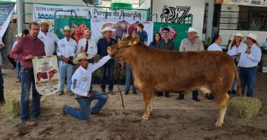 GOBIERNO DEL ESTADO RECONOCE A LO MEJOR DEL GANADO LIMOUSIN DE MÉXICO EN FENAPO 2026