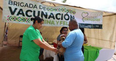 FERIAS DE SALUD ACERCAN ATENCIÓN GRATUITA A LAS FAMILIAS