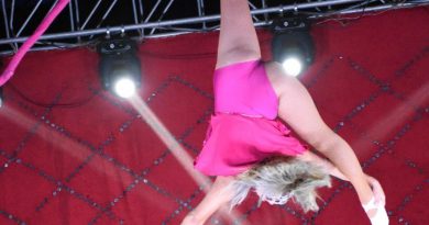 ROYAL STAR CIRCUS LLEVA MAGIA Y TERROR A LA FENAPO 2026