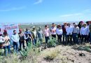 NUEVAS ACCIONES DE REFORESTACIÓN PROTEGERÁN LA SIERRA DE SAN MIGUELITO
